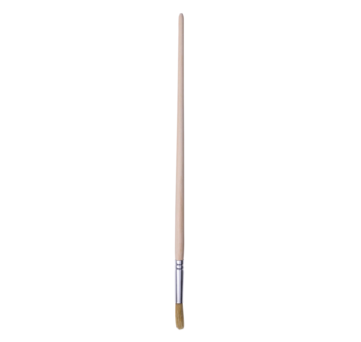 S.81/T