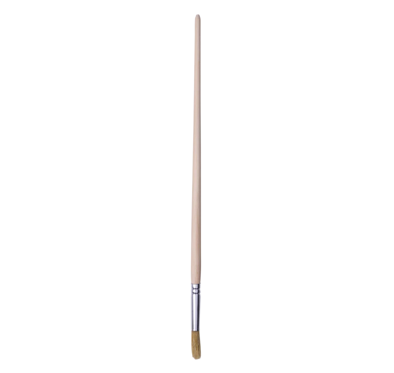 S.81/T